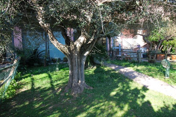 casa indipendente in vendita a Grosseto