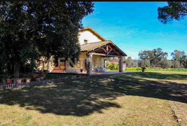 casa indipendente in vendita a Grosseto
