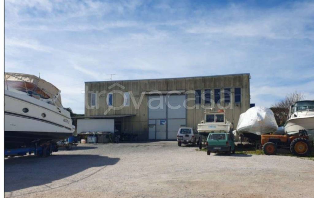 locale commerciale in vendita a Grosseto in zona La Principina