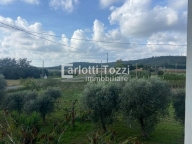 casa indipendente in vendita a Grosseto in zona Roselle