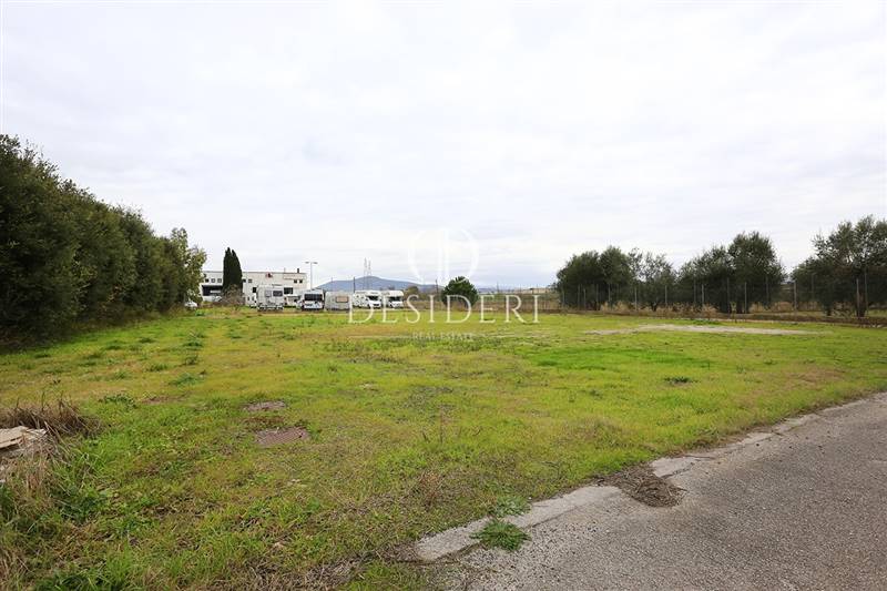 terreno agricolo in vendita a Grosseto