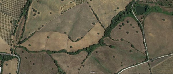 terreno agricolo in vendita a Grosseto