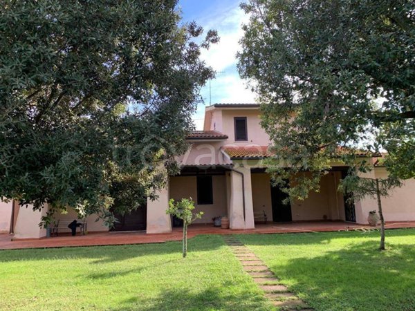 casa indipendente in vendita a Grosseto in zona Braccagni