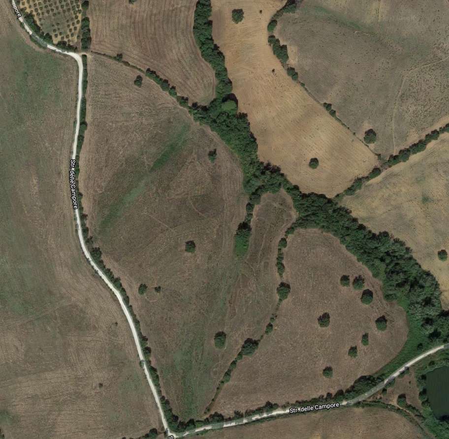 terreno agricolo in vendita a Grosseto