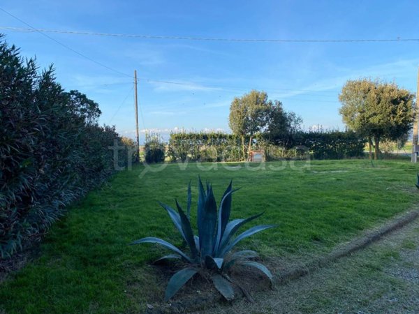 casa indipendente in vendita a Grosseto in zona Braccagni