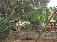 casa indipendente in vendita a Grosseto in zona Braccagni
