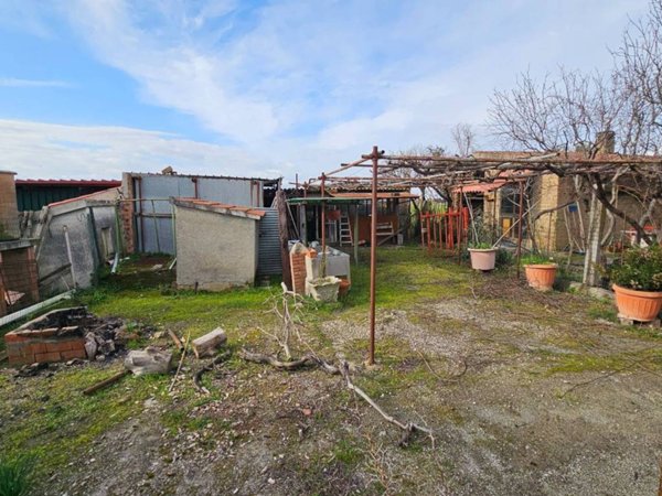 terreno agricolo in vendita a Grosseto