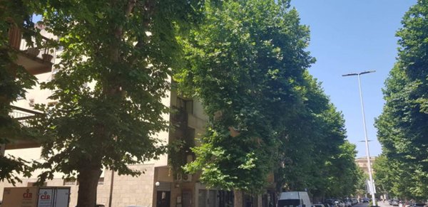 appartamento in vendita a Grosseto