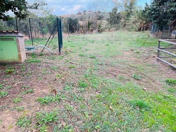 terreno agricolo in vendita a Grosseto