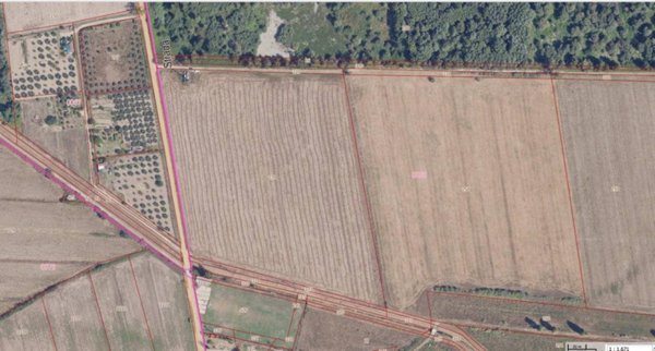 terreno agricolo in vendita a Grosseto in zona Istia d'Ombrone-Le Stiacciole