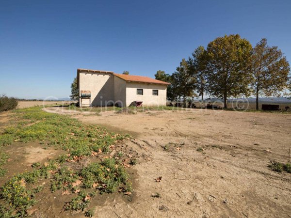terreno agricolo in vendita a Grosseto in zona Alberese