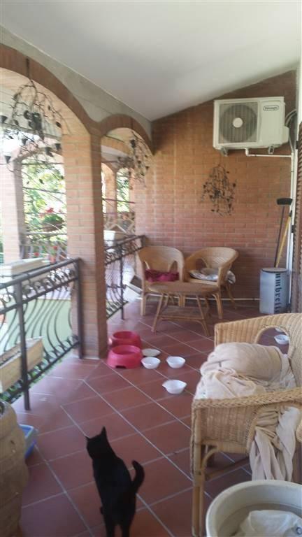 appartamento in vendita a Grosseto