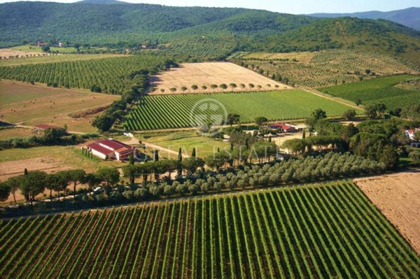 locale di sgombero in vendita a Grosseto in zona Roselle