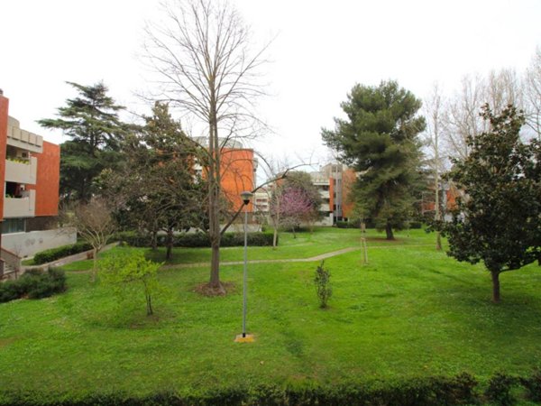 appartamento in vendita a Grosseto