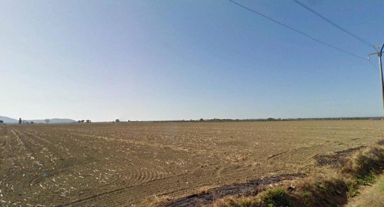 terreno agricolo in vendita a Grosseto