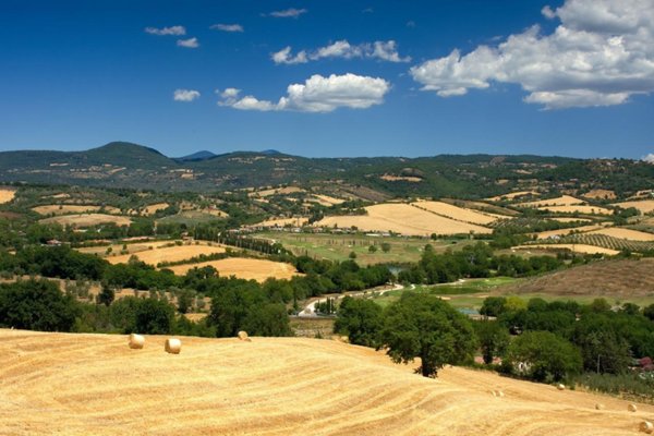 appartamento in vendita a Grosseto