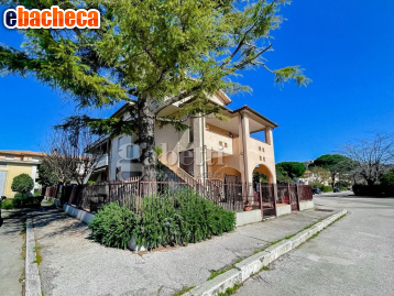 appartamento in vendita a Grosseto