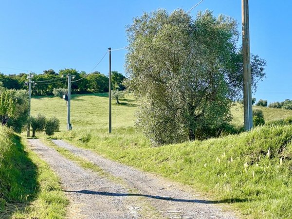 terreno agricolo in vendita a Grosseto
