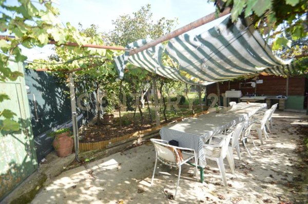 terreno agricolo in vendita a Grosseto