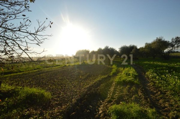 terreno agricolo in vendita a Grosseto in zona Centro Città