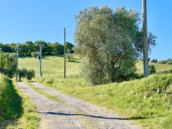 terreno agricolo in vendita a Grosseto