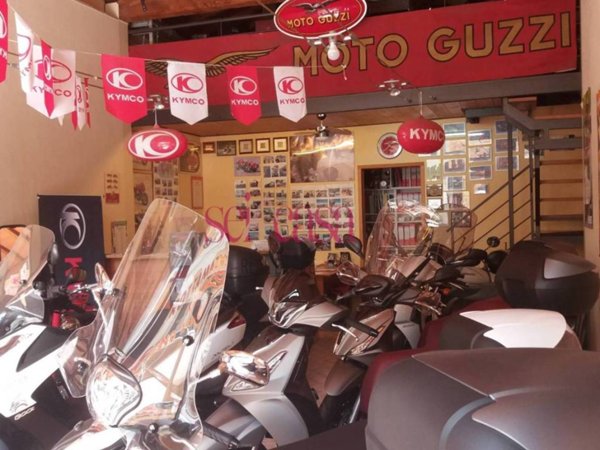 negozio in vendita a Grosseto in zona Centro Città