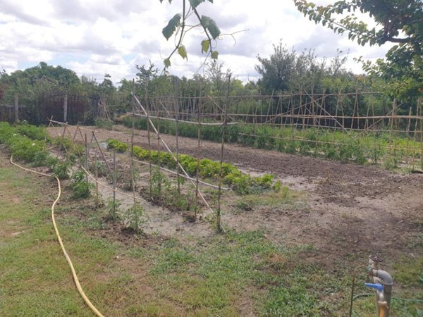 terreno agricolo in vendita a Grosseto in zona Centro Città