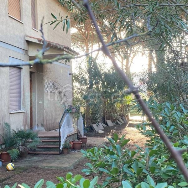 appartamento in vendita a Grosseto in zona Marina di Grosseto