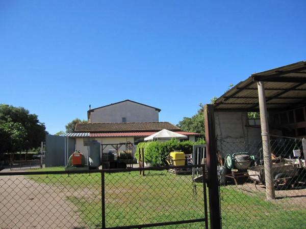 appartamento in vendita a Grosseto