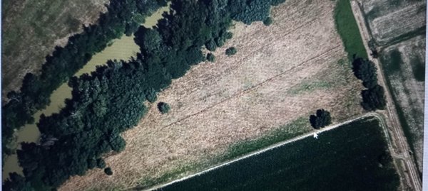 terreno agricolo in vendita a Grosseto