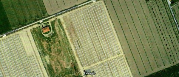 terreno agricolo in vendita a Grosseto