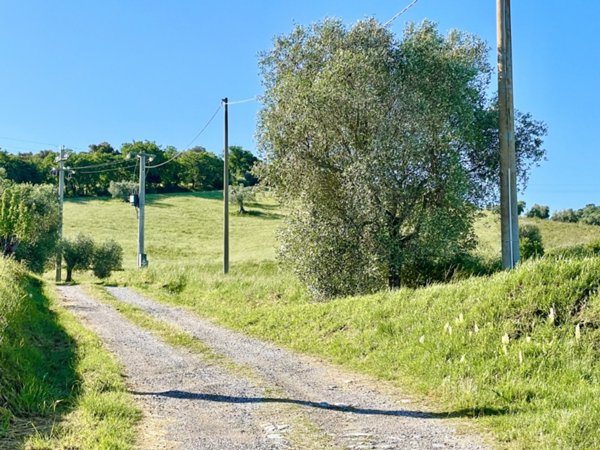 terreno agricolo in vendita a Grosseto