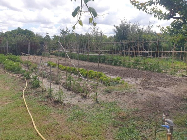 terreno agricolo in vendita a Grosseto in zona Centro CittÃ