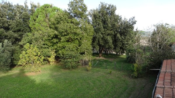 terreno agricolo in vendita a Grosseto