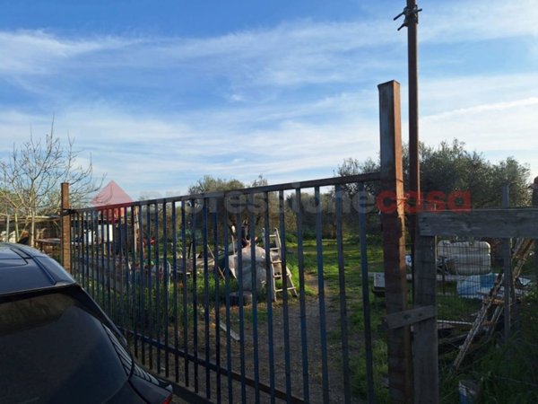 terreno agricolo in vendita a Grosseto