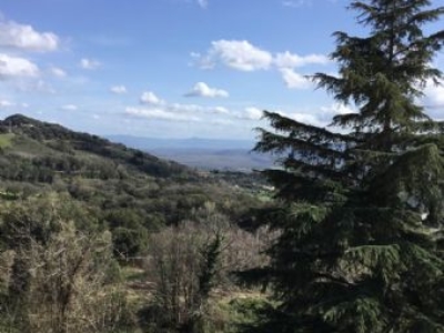 appartamento in vendita a Grosseto