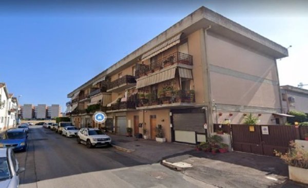 esavano in vendita a Grosseto