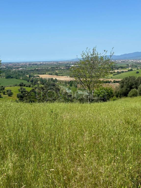 locale di sgombero in vendita a Grosseto in zona Poggio Cavallo