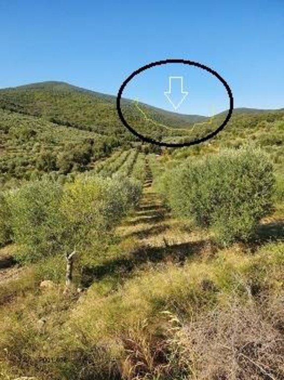 casa indipendente in vendita a Grosseto in zona Batignano
