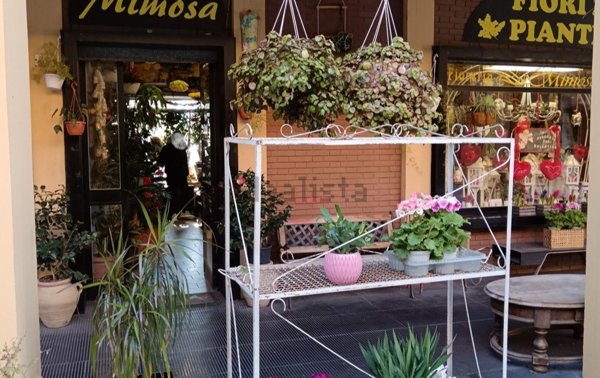 negozio in vendita a Grosseto