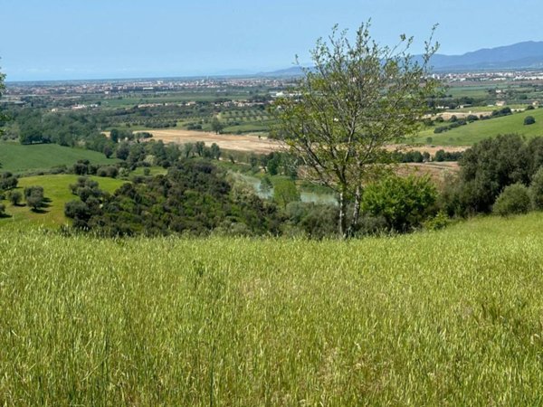 terreno agricolo in vendita a Grosseto in zona Poggio Cavallo