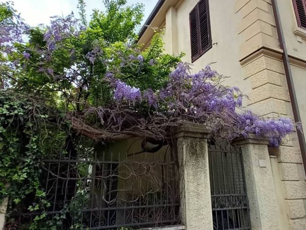 casa indipendente in vendita a Grosseto in zona Stadio