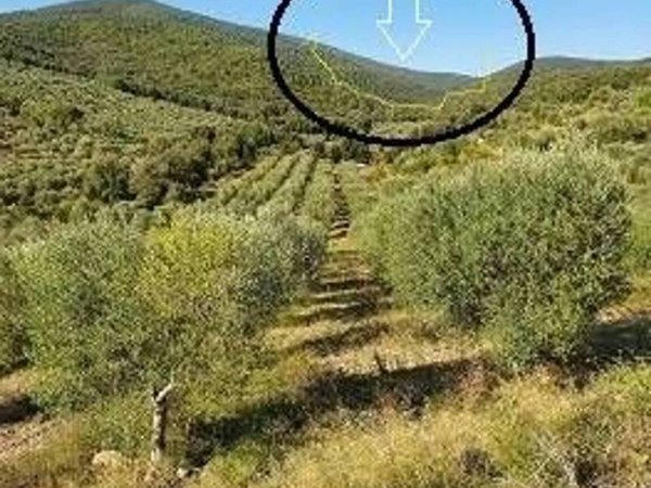 casa indipendente in vendita a Grosseto