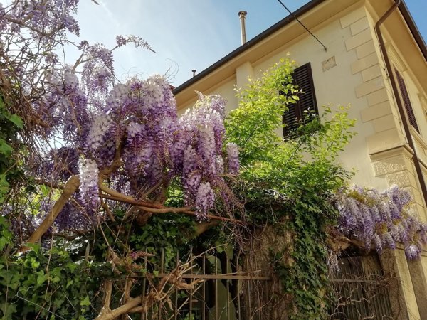 casa indipendente in vendita a Grosseto in zona Stadio