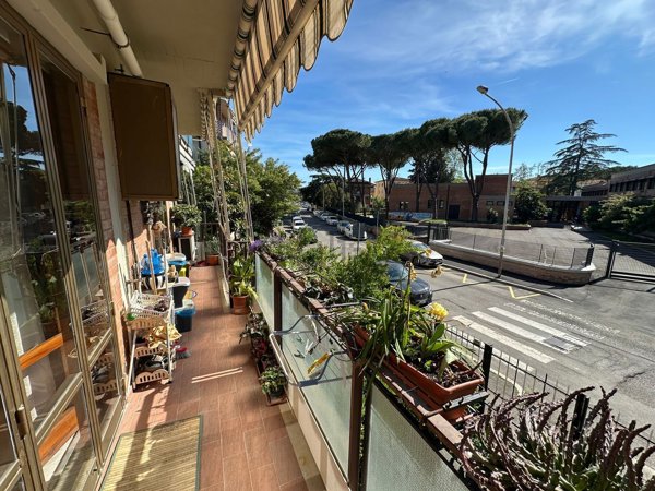 appartamento in vendita a Grosseto