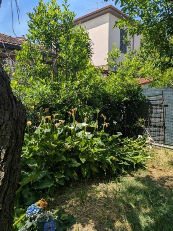 appartamento in vendita a Grosseto