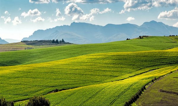 terreno agricolo in vendita a Grosseto in zona Braccagni