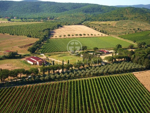 casa indipendente in vendita a Grosseto