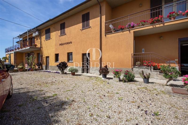 azienda agricola in vendita a Grosseto