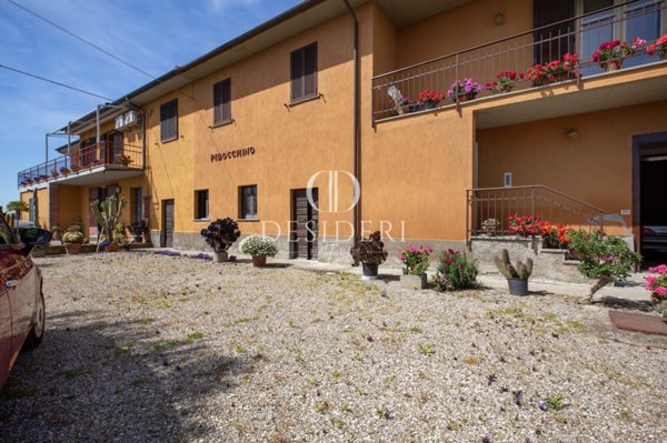 azienda agricola in vendita a Grosseto